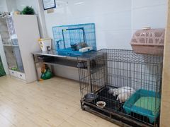 -派特宠物医院(圆融广场店)