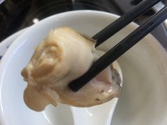 -蚝专家