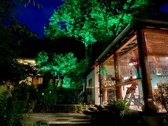 -Cafe In Little Forest