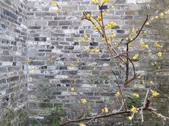 -朱自清故居