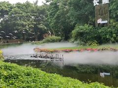 -广州长隆飞鸟乐园