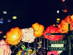 -淄博花灯齐彩城