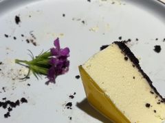 -粤点越有·茶点·粤菜(樵岭国际店)