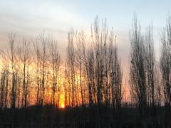 -北京拉斐特城堡酒店