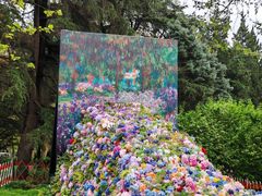 -上海共青森林公园