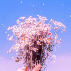 -Oasis Beauty水磨坊科技美肤中心
