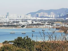 -香雪海