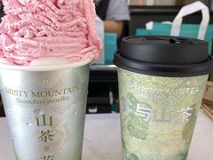 -雾与山茶(大禹城店)