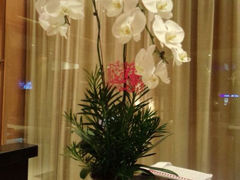 android_upload_pic-新加坡安国酒店
