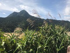 -羚羊峡古栈道森林公园