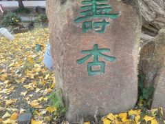 -苏州文庙(姑苏区)