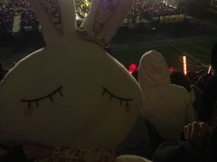 -深圳市体育中心体育馆主馆