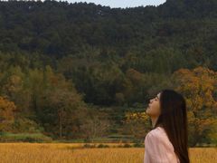 -塔川景区