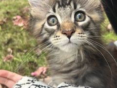 -东寨港红树林旅游区