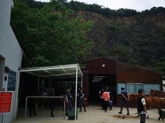 -枫露马术学院(藏书校区)