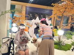 -帕帕拉兹宠物(亚洲旗舰店)