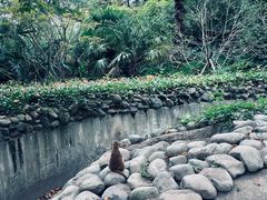 -上海野生动物园
