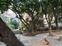 -集美学村