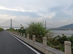 -芒洲湿地公园