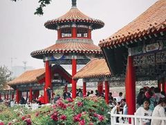 -曹州牡丹园