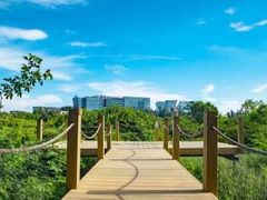 -华侨城湿地公园