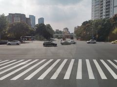 -BUS TOUR观光巴士
