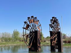 -泗洪洪泽湖湿地景区