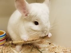 -龙猫仔乐园(惠福东路店)