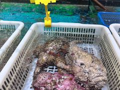 -乐兴海鲜餐厅