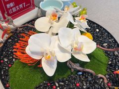 -湯記傳菜