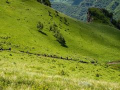 -灵山