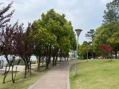 -美兰湖景区