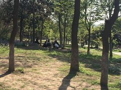-云龙山