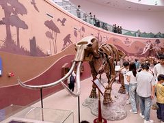 -陕西自然博物馆