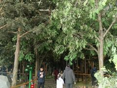 -吉林省自然博物馆