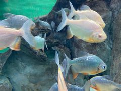 -常州海昌海洋探索馆