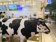 -红星前进面包牛奶公司(君太店)