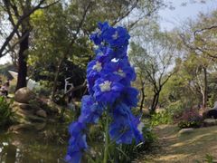 -人民公园(罗湖区)