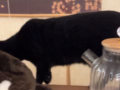 -剧狐剧本杀·月球探案馆(人民广场1号店)
