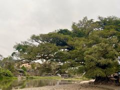 -云水谣景区