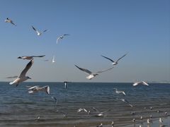 -老虎石海上公园