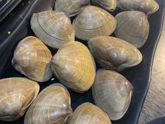 -丹东丛炟海鲜烧烤(江艺路店)