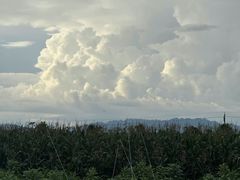 -雅和生态渔庄·宜城锅巴饭(龙灵山公园店)