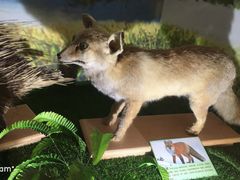 -下渚湖国家湿地公园科普馆