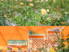 -上海鲜花港