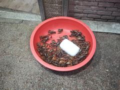 -奉天蚨祥饺子馆