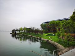 -上海滴水湖皇冠假日酒店