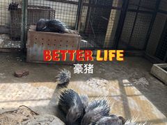 -昆明动物园