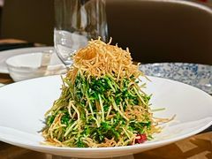 巧拌豆苗-四季民福烤鸭店(西单华威约饭街店)