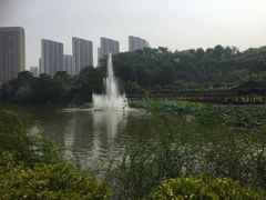 -龙头寺公园